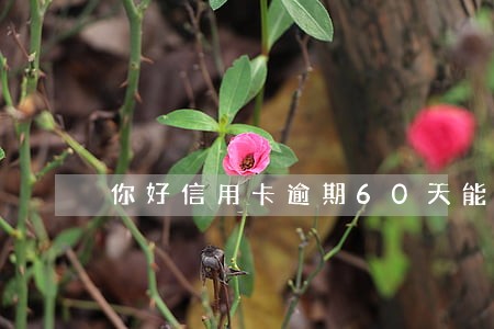 你好信用卡逾期60天能补救吗