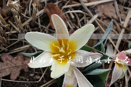 你好关于民间修族谱是否违法