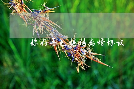 你好再见妈妈离婚协议 你好再见妈妈离婚协议