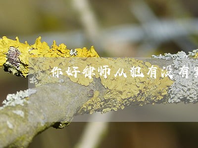 你好律师从犯有没有案底 你好律师从犯有没有案底