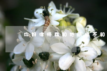 你好律师我和他感情不和