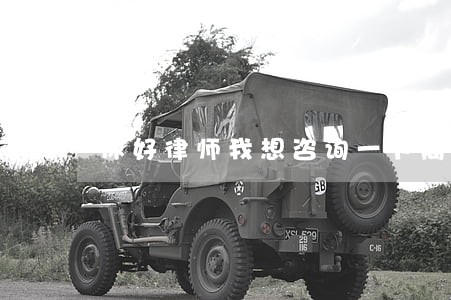 你好律师我想咨询一下离婚案件 你好律师我想咨询一下离婚案件