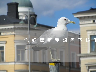 你好律师我想问下孩子抚养费问题