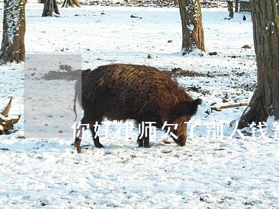 你好律师欠了别人钱暂时还不上 你好律师欠了别人钱暂时还不上