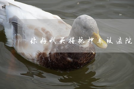 你好我买得抵押车被法院扣了