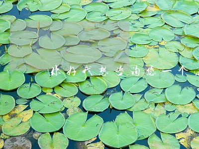 你好我想咨询您一个法律问题 你好我想咨询您一个法律问题