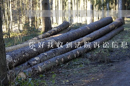 你好我收到法院诉讼信息