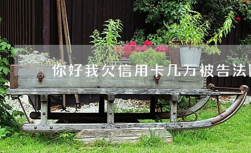 你好我欠信用卡几万被告法院了 你好我欠信用卡几万被告法院了