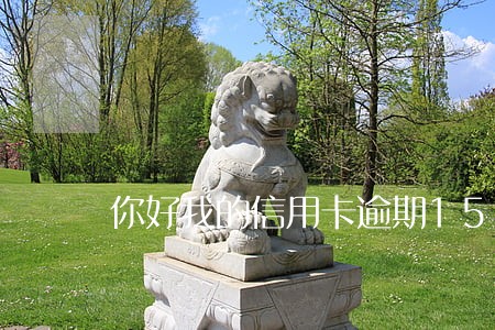 你好我的信用卡逾期150天 你好我的信用卡逾期150天