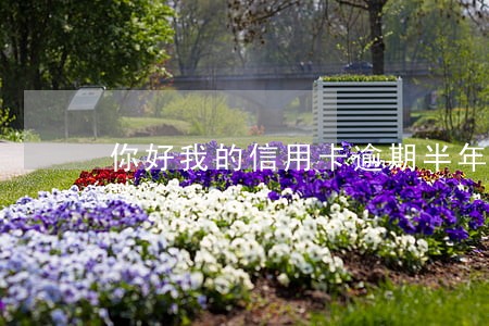 你好我的信用卡逾期半年了