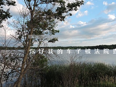 你好我的车子被法院查封了 你好我的车子被法院查封了