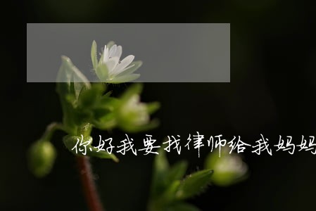 你好我要找律师给我妈妈 你好我要找律师给我妈妈