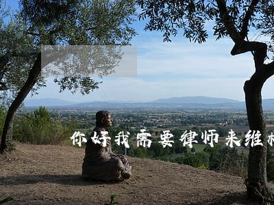 你好我需要律师来维权 你好我需要律师来维权
