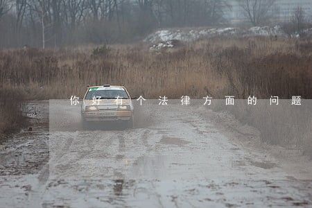 你好有个法律方面的问题向你咨询