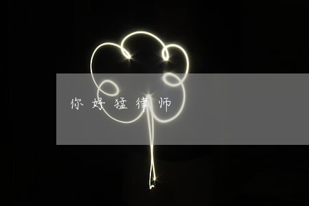 你好猛律师 你好猛律师