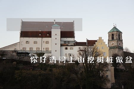 你好请问上山挖树桩做盆景违法吗 你好请问上山挖树桩做盆景违法吗