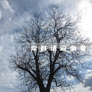 你好请问倒卖二手水淹车违法吗 你好请问倒卖二手水淹车违法吗