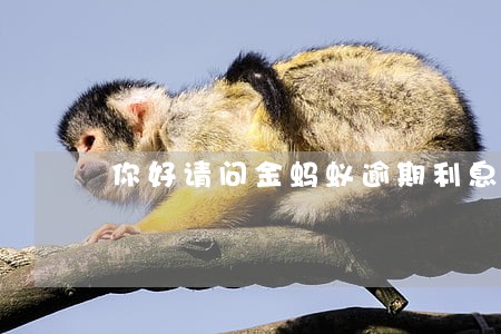 你好请问金蚂蚁逾期利息怎么扣 你好请问金蚂蚁逾期利息怎么扣