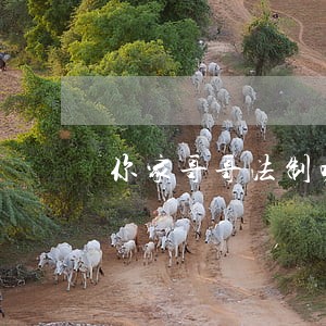 你家哥哥法制咖杨奎上今日说法啦 你家哥哥法制咖杨奎上今日说法啦