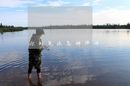 你对宪法怎样评价 你对宪法怎样评价