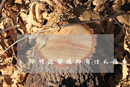 你对法律援助有什么感受 你对法律援助有什么感受