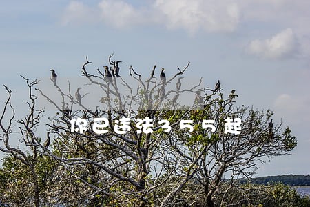 你已违法355起 你已违法355起