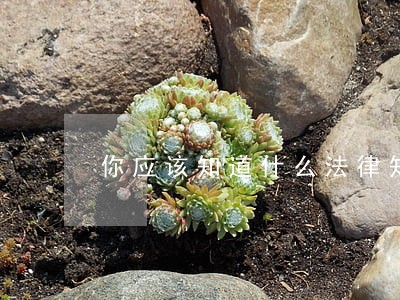 你应该知道什么法律知识 你应该知道什么法律知识