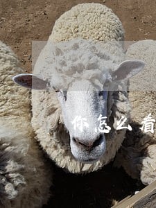 你怎么看待网贷逾期的朋友 你怎么看待网贷逾期的朋友