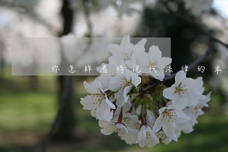你怎样看待现代法律的本质 你怎样看待现代法律的本质
