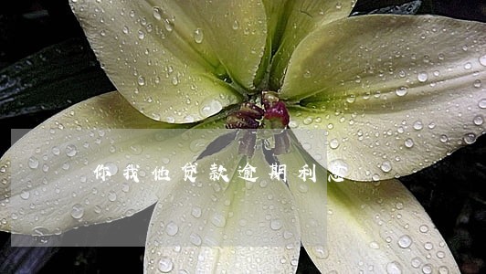 你我他贷款逾期利息 你我他贷款逾期利息