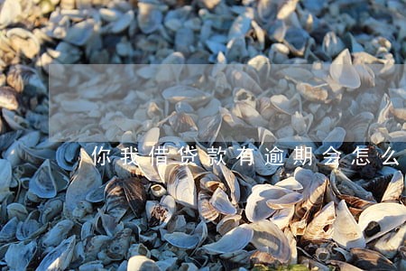 你我借贷款有逾期会怎么样 你我借贷款有逾期会怎么样