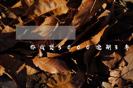 你我贷5000逾期3年 你我贷5000逾期3年