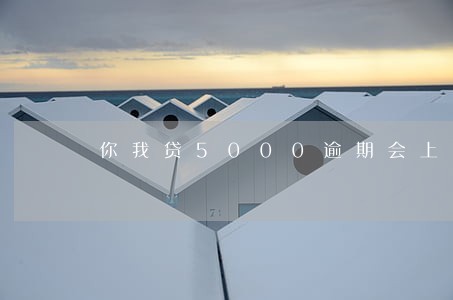 你我贷5000逾期会上门 你我贷5000逾期会上门