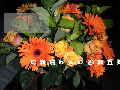 你我贷640逾期五天 你我贷640逾期五天