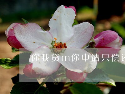 你我贷m你申请只偿还本金吗 你我贷m你申请只偿还本金吗