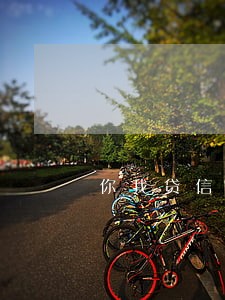 你我贷信用卡逾期了能贷吗 你我贷信用卡逾期了能贷吗
