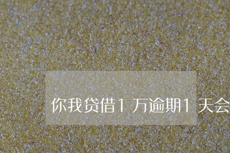 你我贷借1万逾期1天会怎样 你我贷借1万逾期1天会怎样