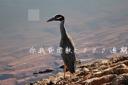 你我贷借款5000逾期3年 你我贷借款5000逾期3年