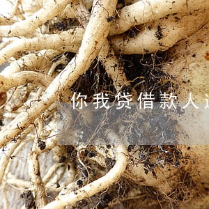 你我贷借款人逾期2期 你我贷借款人逾期2期