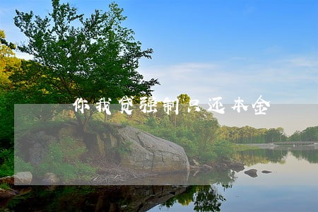 你我贷强制只还本金 你我贷强制只还本金