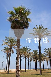 你我贷手机逾期700 你我贷手机逾期700