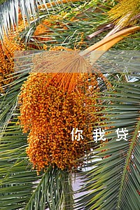 你我贷极融逾期4天 你我贷极融逾期4天