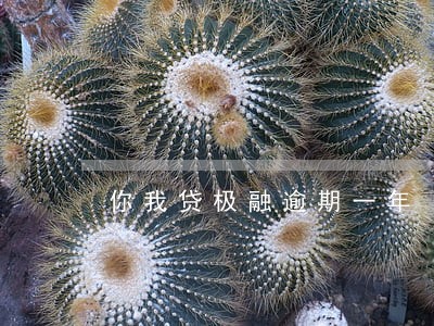 你我贷极融逾期一年 你我贷极融逾期一年