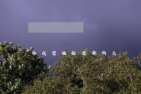 你我贷极融逾期两天