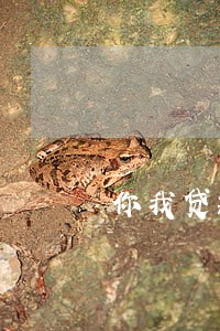 你我贷款逾期2-3年会怎么样 你我贷款逾期2-3年会怎么样