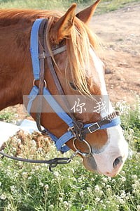 你我贷款逾期现在法务部催收 你我贷款逾期现在法务部催收