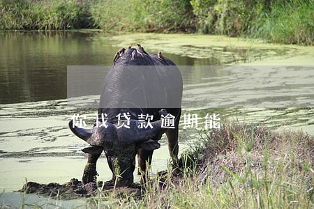 你我贷款逾期能 你我贷款逾期能