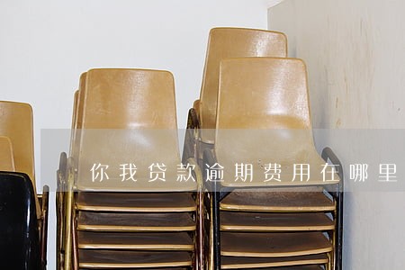 你我贷款逾期费用在哪里看 你我贷款逾期费用在哪里看