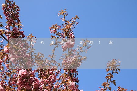 你我贷贷款逾期1期 你我贷贷款逾期1期