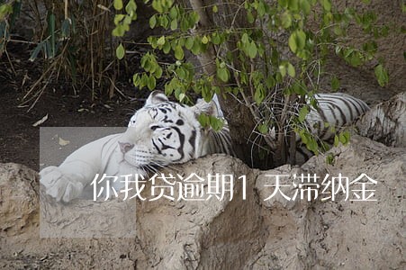 你我贷逾期1天滞纳金 你我贷逾期1天滞纳金